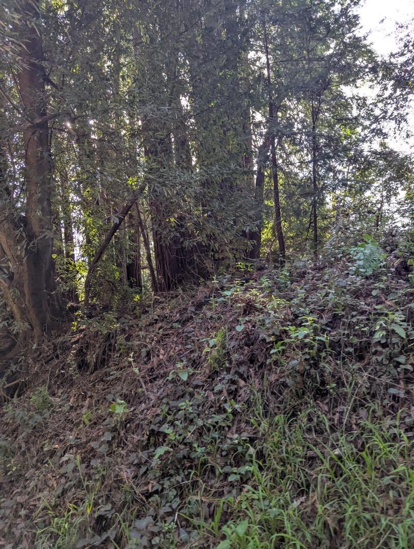 8055 Glen Haven Road Property Photo 3