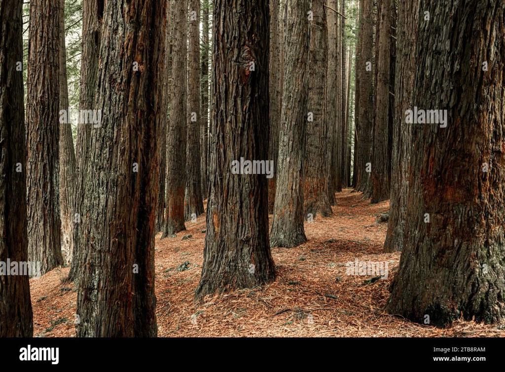 State Hwy 1 Property Photo 2