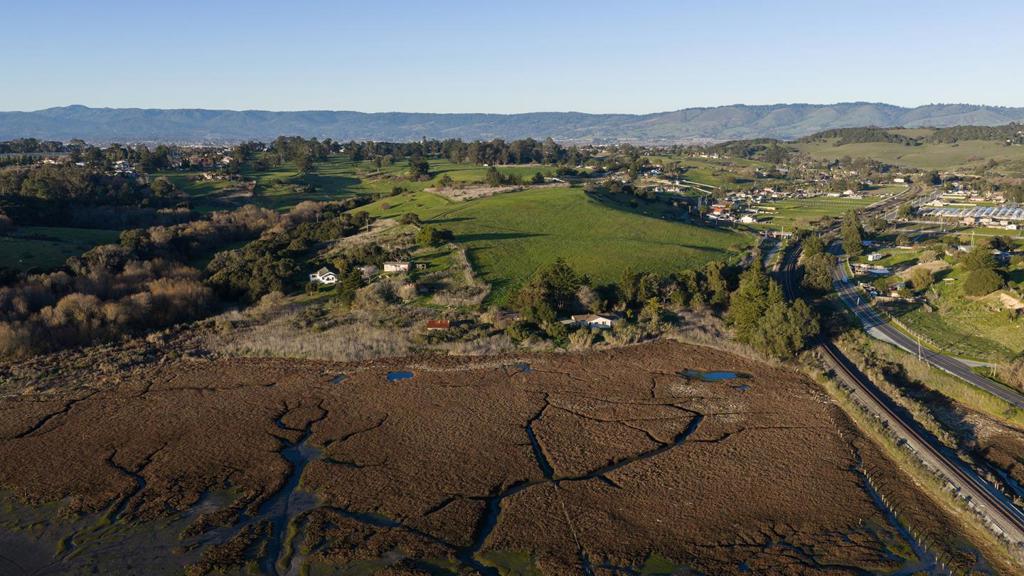 967 Salinas Road Property Photo 3