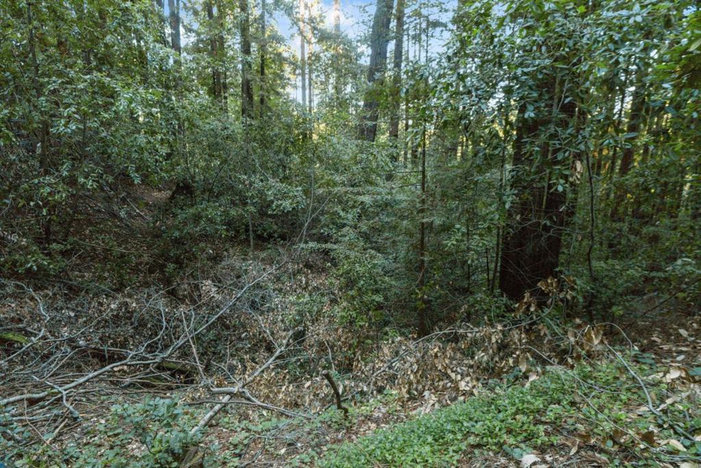 0 Country Club Drive Property Photo 3