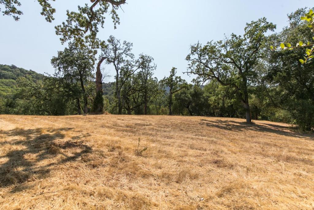 28 Long Ridge Trail Property Photo 6