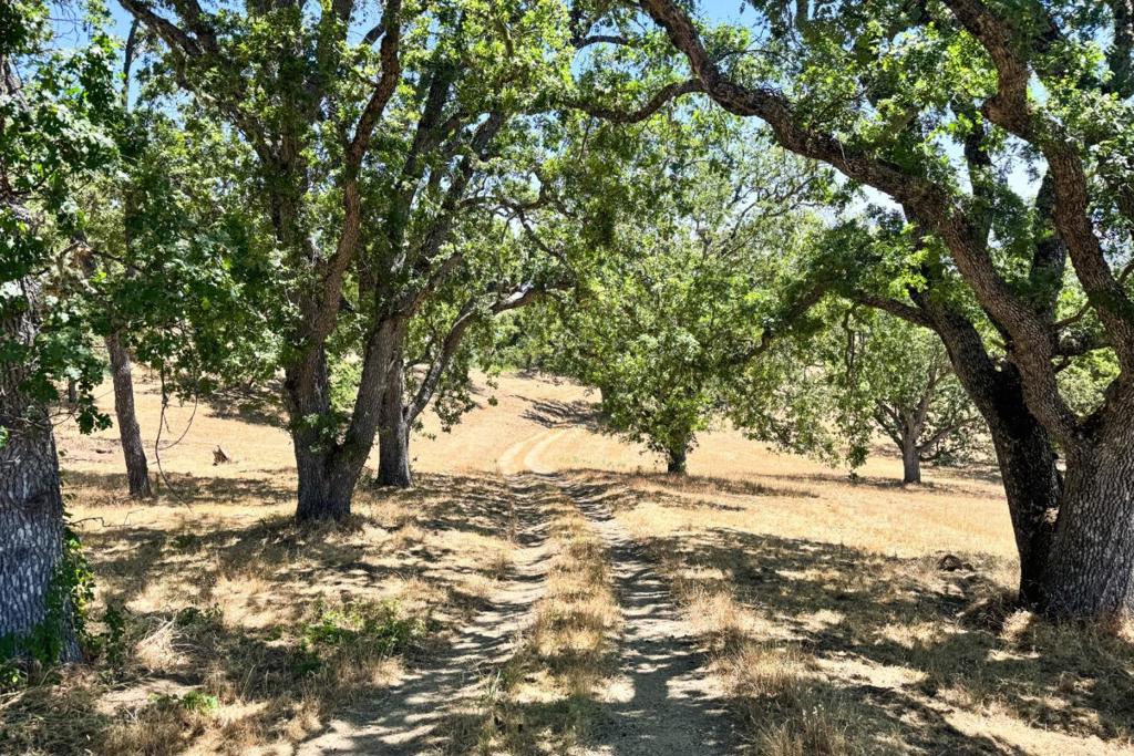 28 Long Ridge Trail Property Photo 8