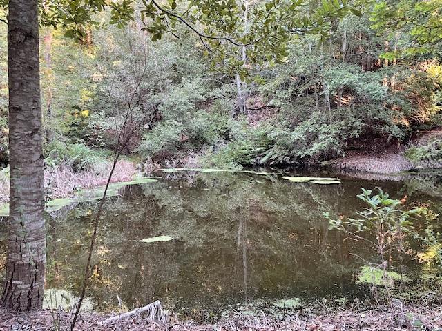 0 Love Creek Property Photo 1
