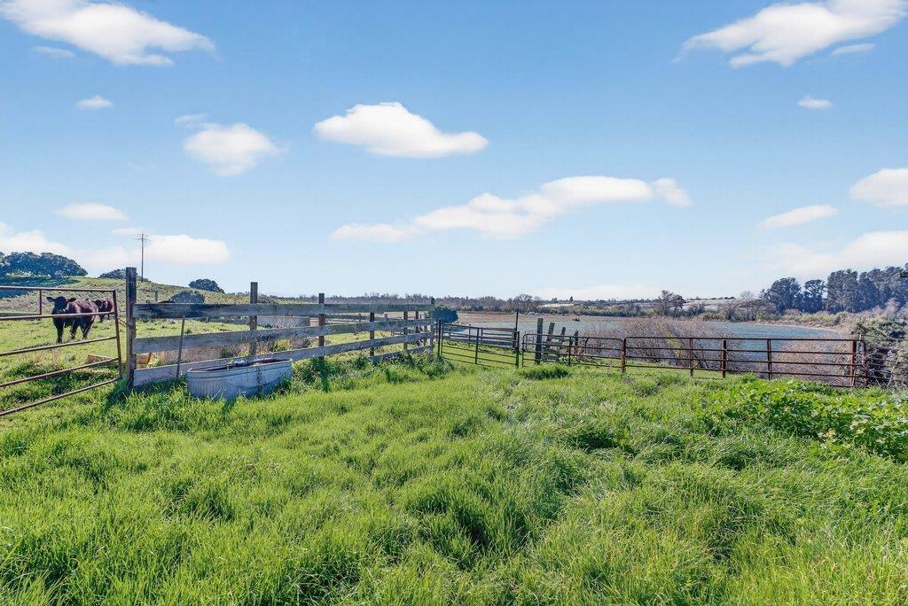 195 Bjur Drive Property Photo 23