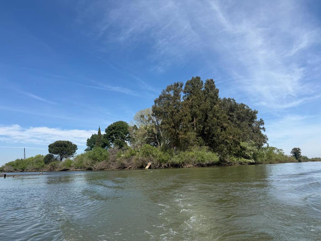0 Halls Island