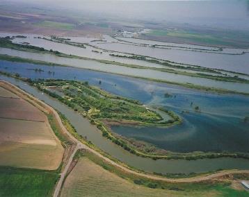 0 Halls Island Property Photo 2