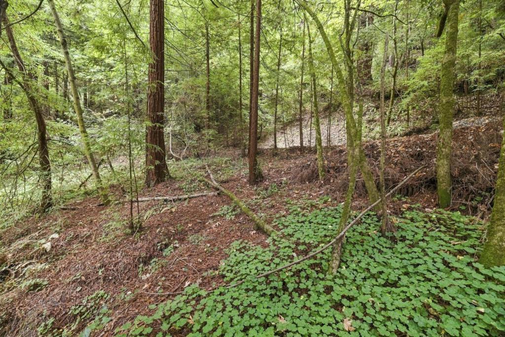 0 Pringle Lane Property Photo 11