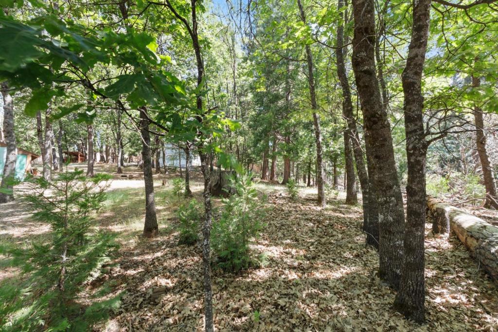 17256 Mount Elizabeth Drive Property Photo 38