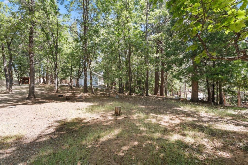 17256 Mount Elizabeth Drive Property Photo 39