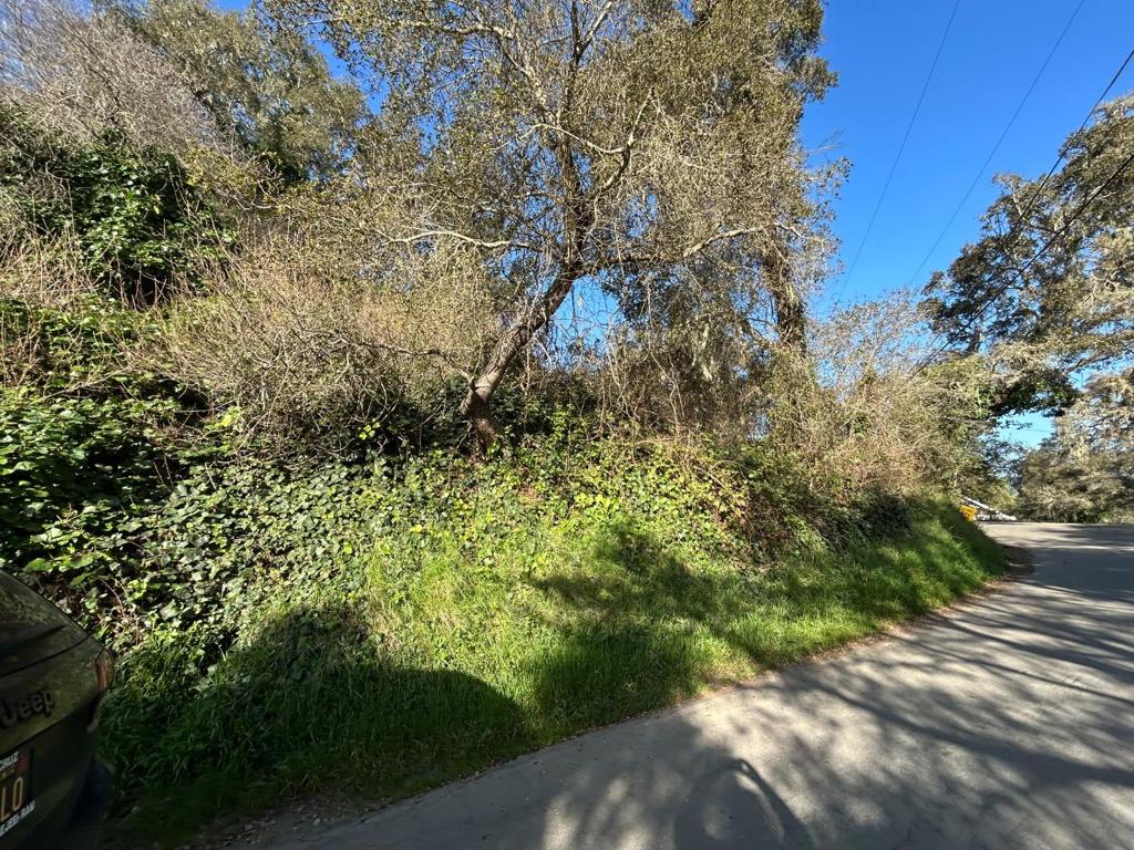 0 Loma Prieta Drive Property Photo 1