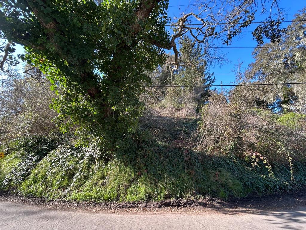 0 Loma Prieta Drive Property Photo 2