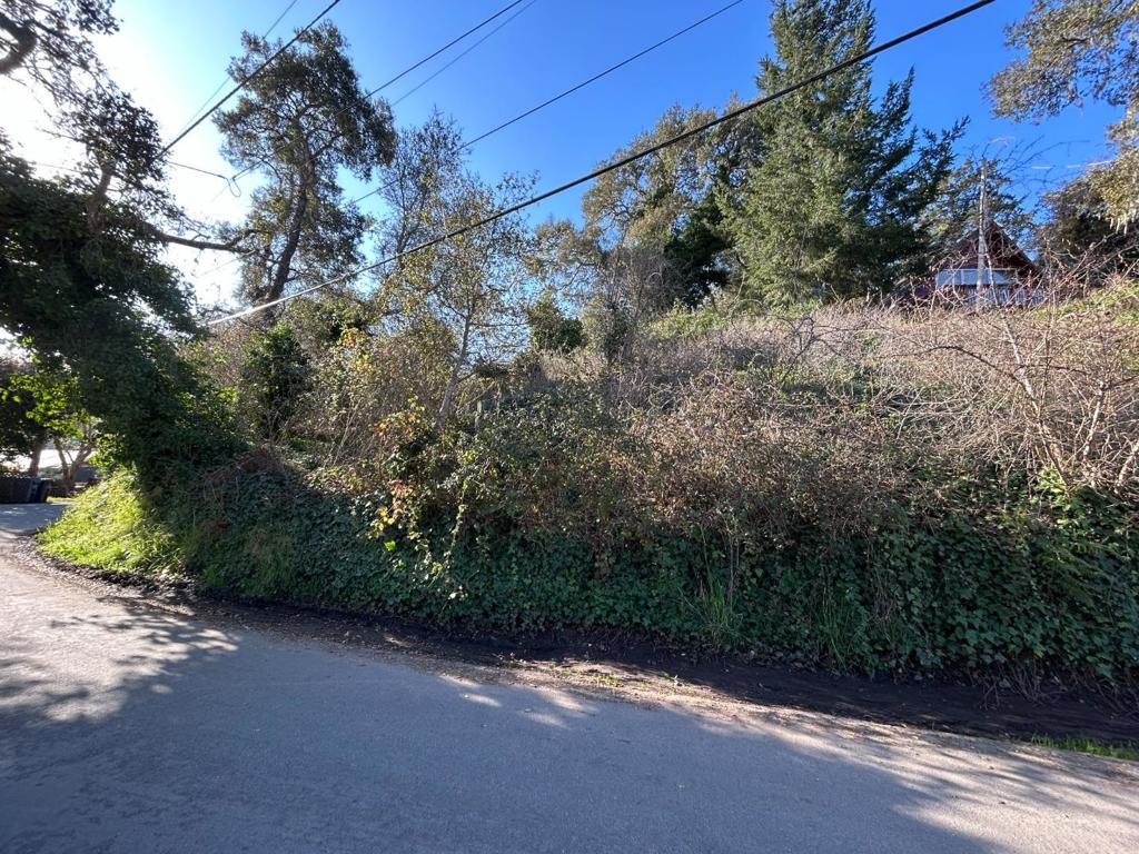 0 Loma Prieta Drive Property Photo 3