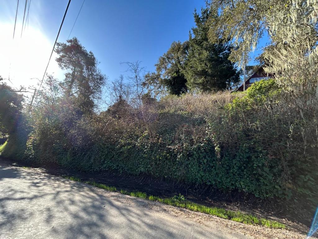 0 Loma Prieta Drive Property Photo 4
