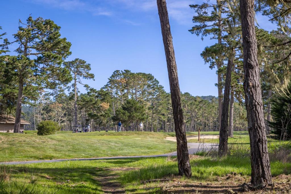 1401 Viscaino Road Property Photo 1