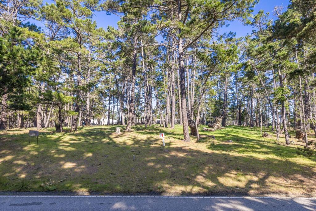 1401 Viscaino Road Property Photo 12