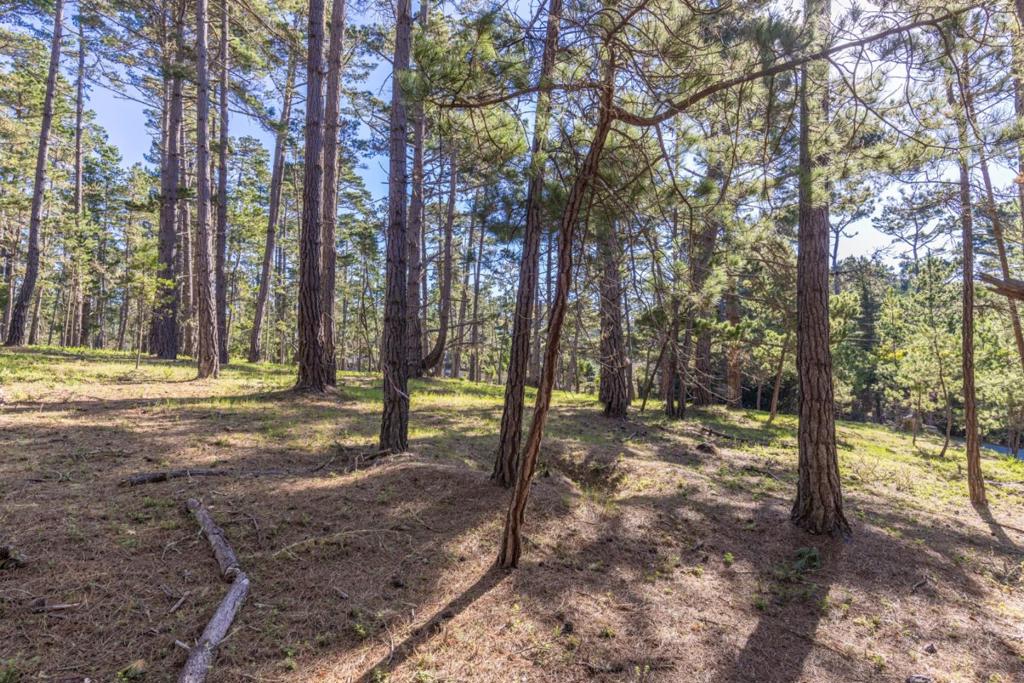 1401 Viscaino Road Property Photo 15