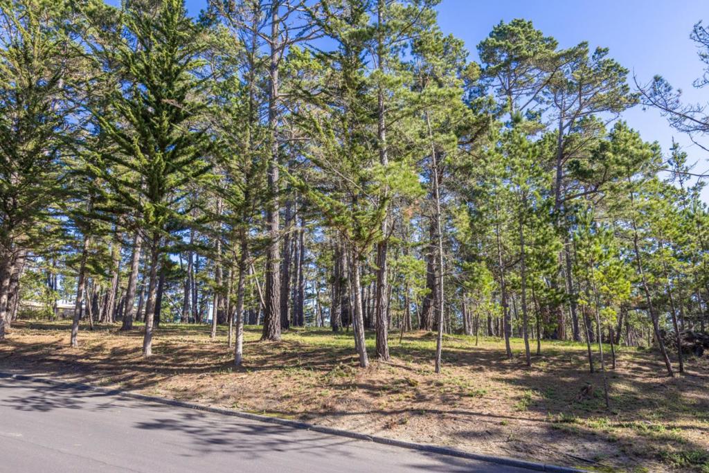 1401 Viscaino Road Property Photo 16