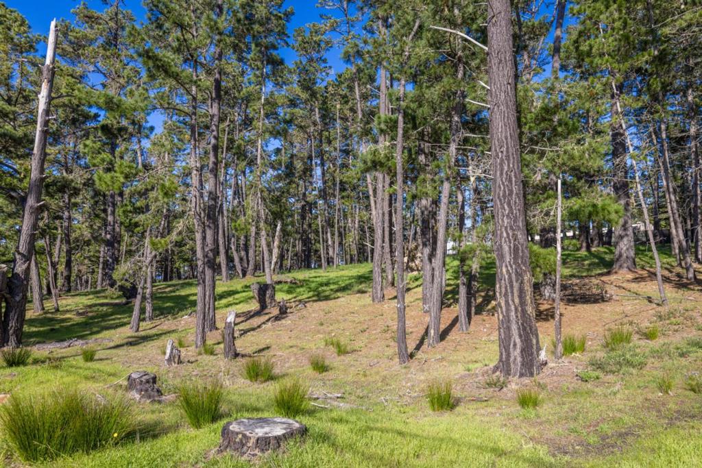 1401 Viscaino Road Property Photo 17