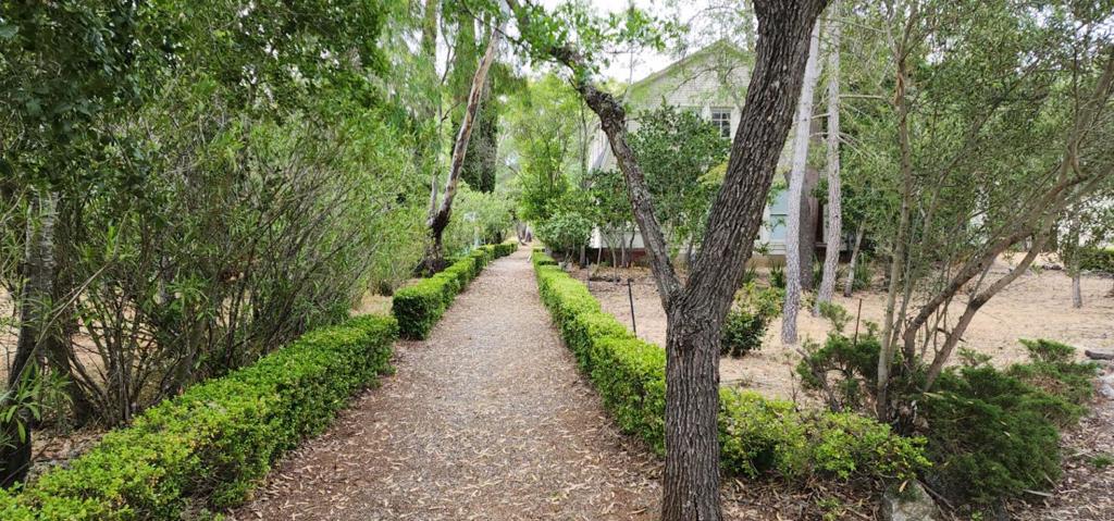 26731 Taaffe Road Property Photo 2