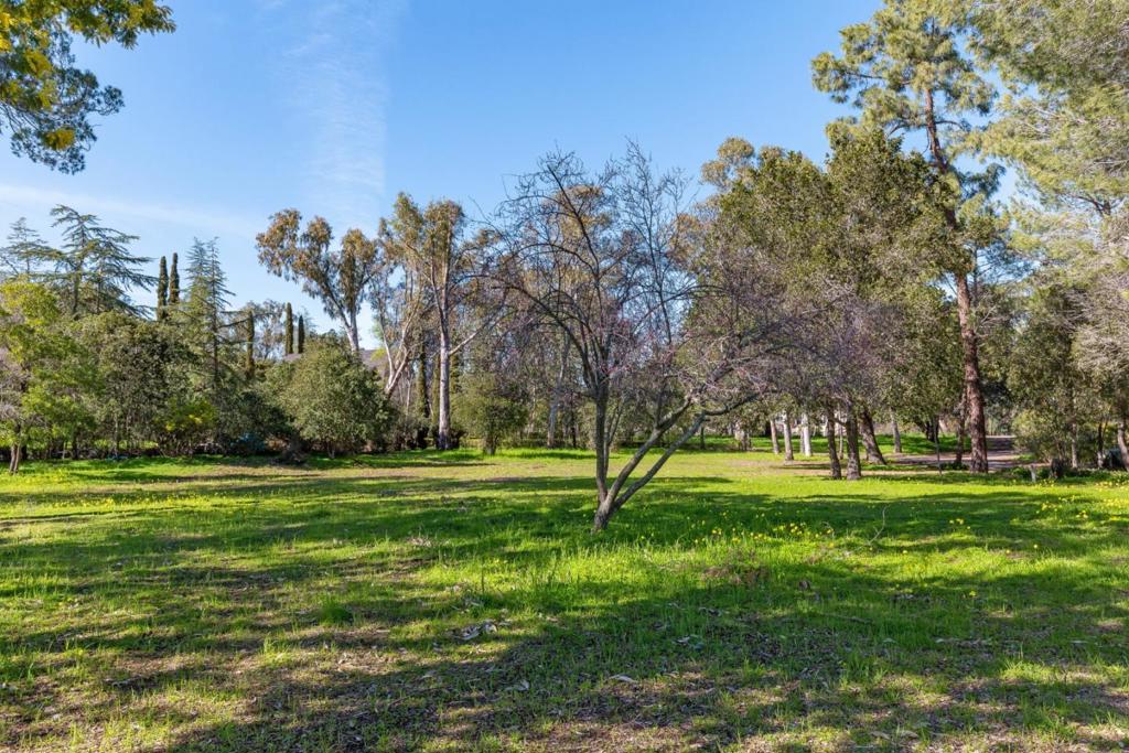 26731 Taaffe Road Property Photo 4