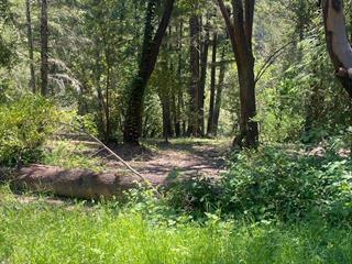 17000 Bear Creek Road Property Photo 5