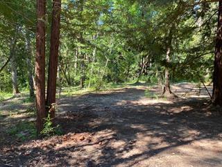 17000 Bear Creek Road Property Photo 7