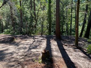 17000 Bear Creek Road Property Photo 8