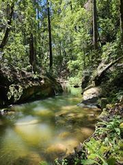 17000 Bear Creek Road Property Photo 9
