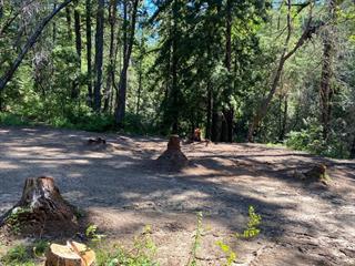17000 Bear Creek Road Property Photo 10