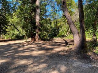 17000 Bear Creek Road Property Photo 11