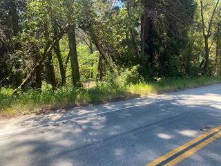 17000 Bear Creek Road Property Photo 12