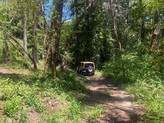 17000 Bear Creek Road Property Photo 16