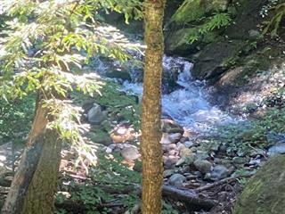 17000 Bear Creek Road Property Photo 20