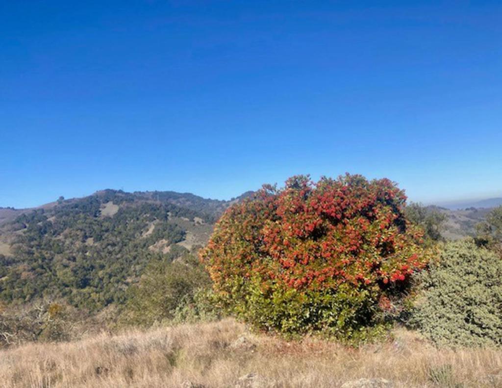 0 Cinnabar Hills Road Property Photo 7