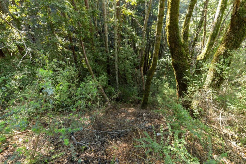 Buckeye Street Property Photo 1