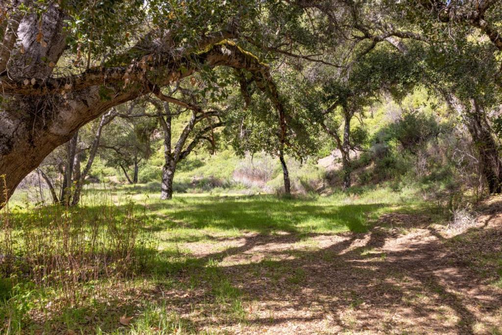 0 Cachagua Road Property Photo 4