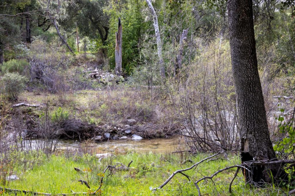 0 Cachagua Road Property Photo 6