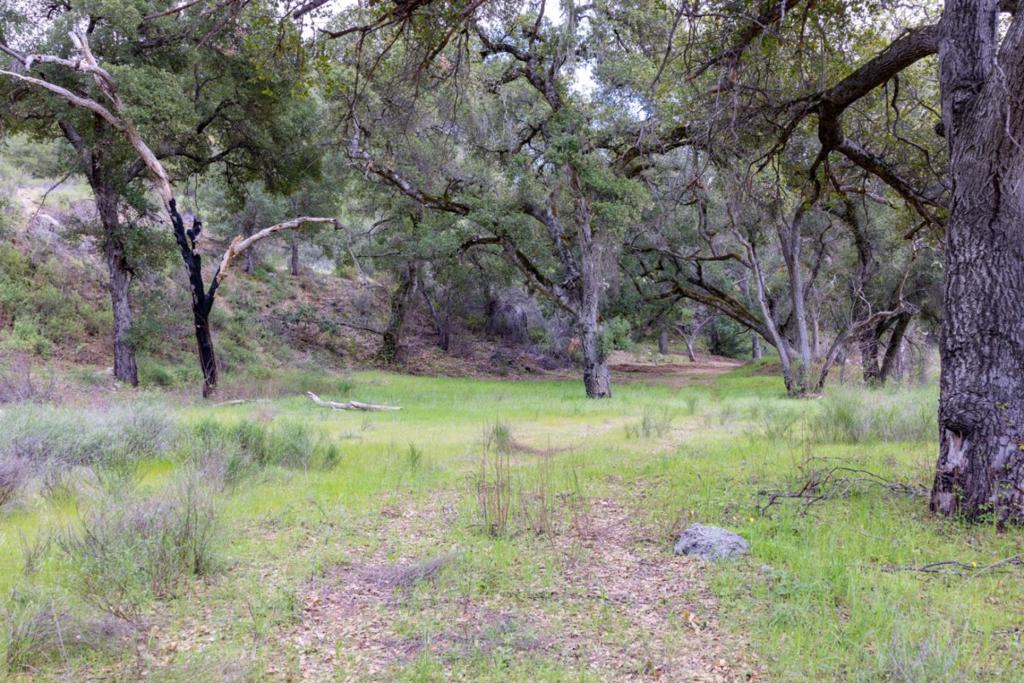 0 Cachagua Road Property Photo 7