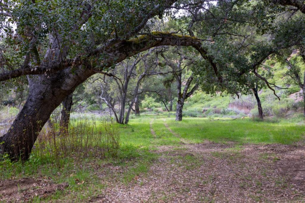0 Cachagua Road Property Photo 8