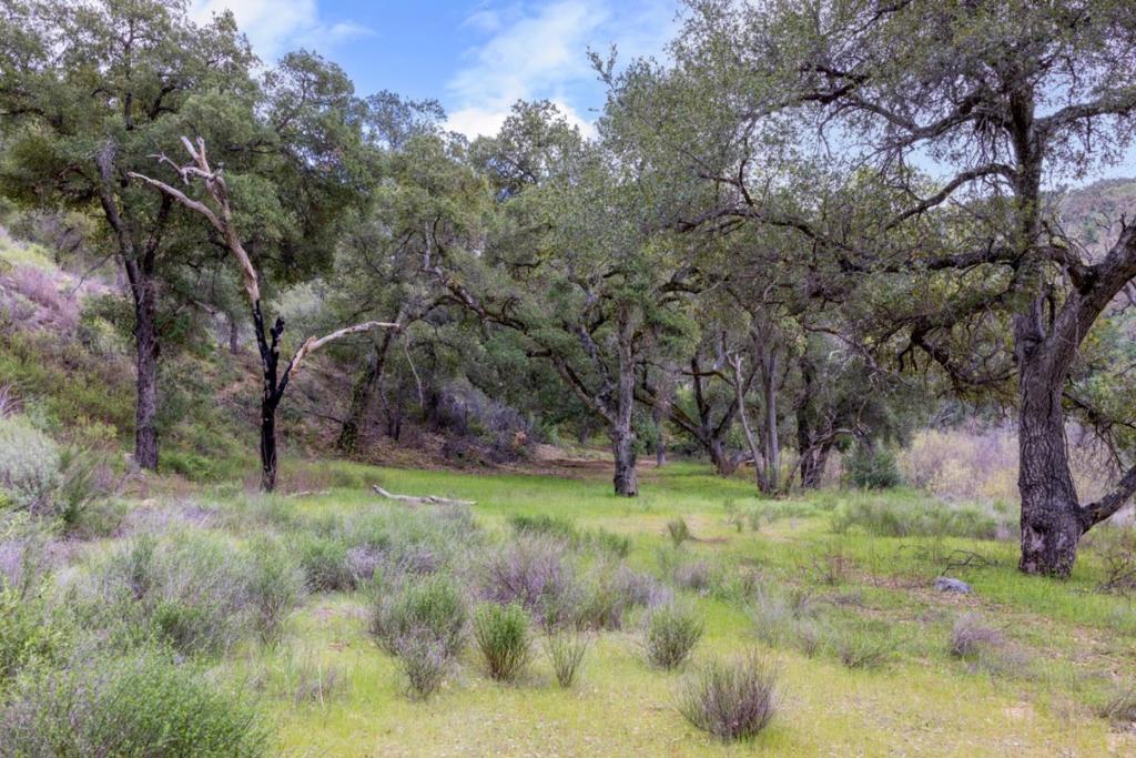 0 Cachagua Road Property Photo 9
