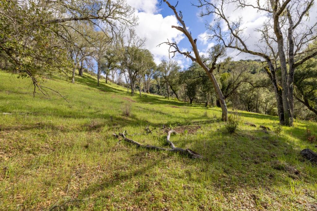 0 Cachagua Road Property Photo 10