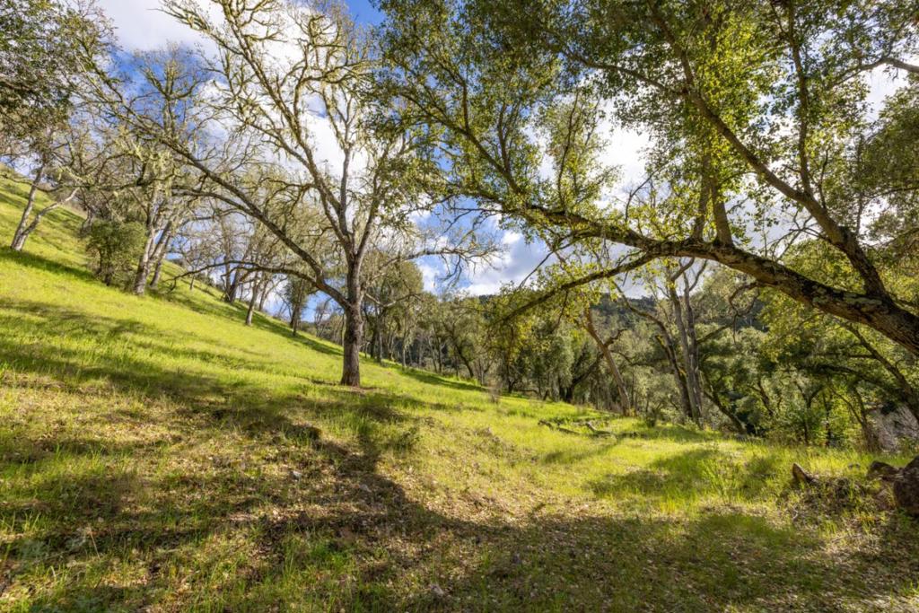 0 Cachagua Road Property Photo 11