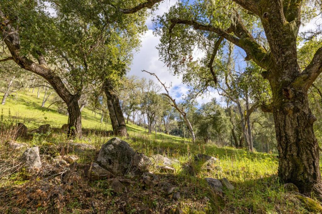 0 Cachagua Road Property Photo 12