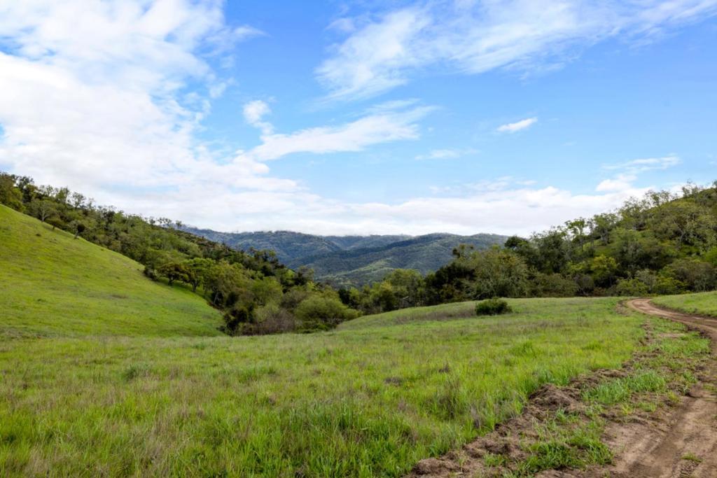 0 Cachagua Road Property Photo 15