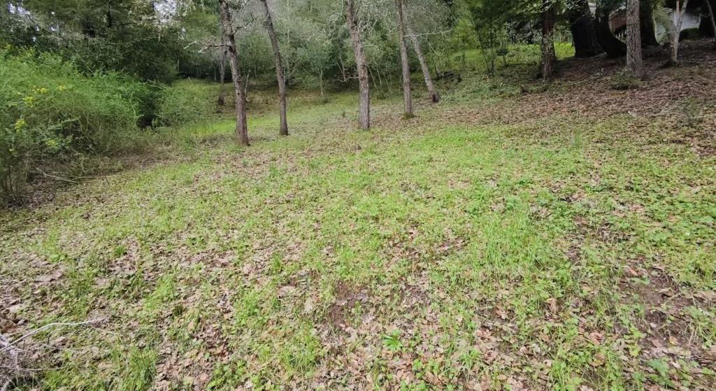 15971 Forest Hill Drive Property Photo 1