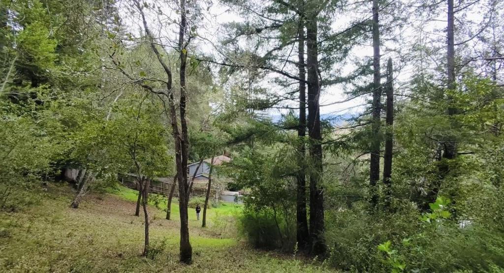15971 Forest Hill Drive Property Photo 4