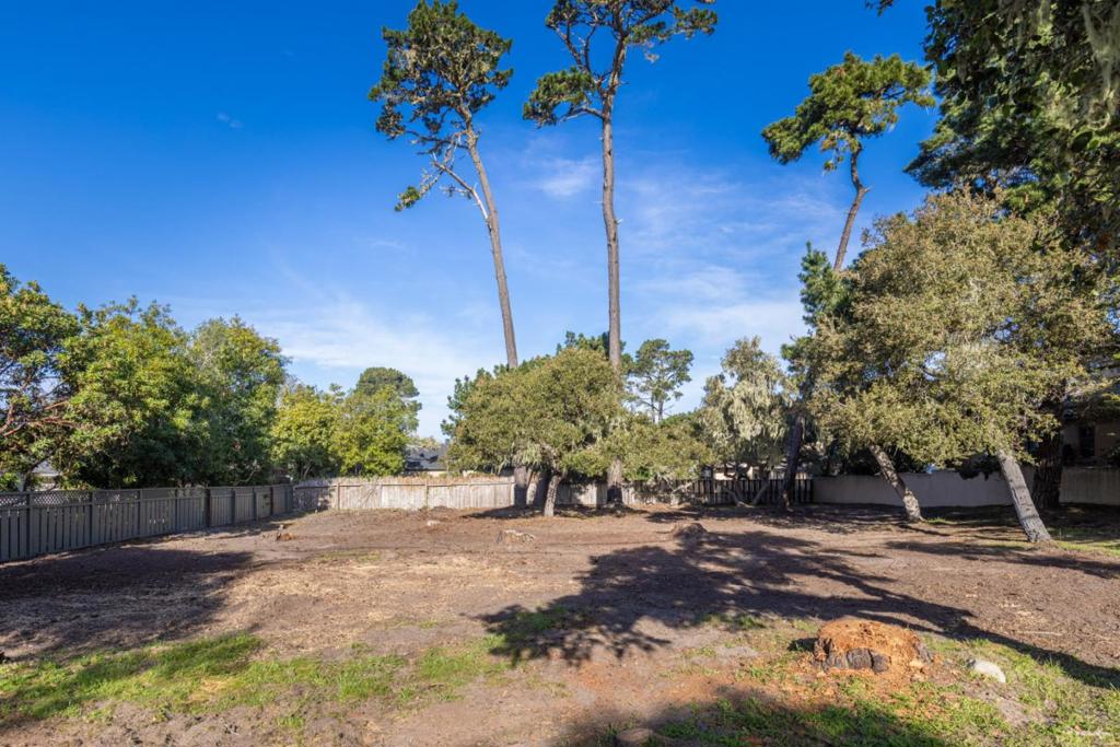 3118 Bird Rock Road Property Photo 4