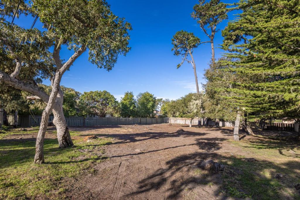 3118 Bird Rock Road Property Photo 5