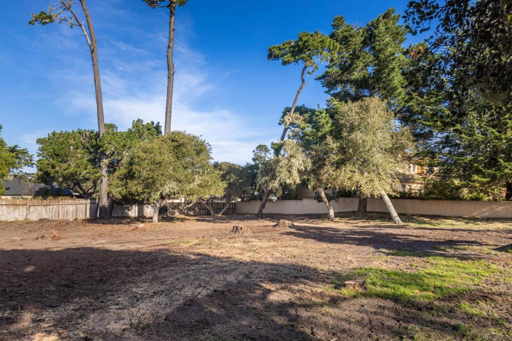 3118 Bird Rock Road Property Photo 6