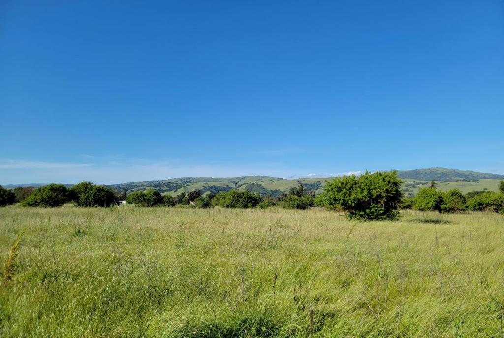 14200 Sycamore Avenue Property Photo 4
